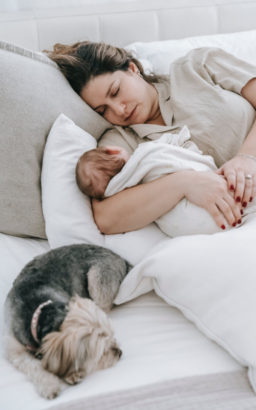 breastfeeding tips for new moms