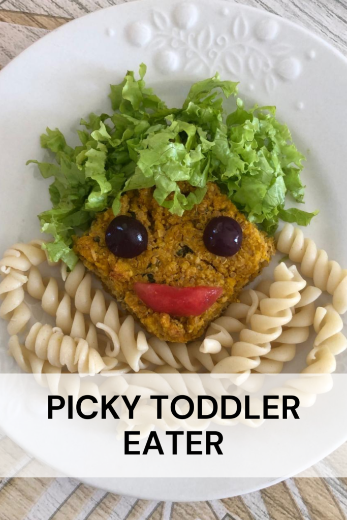 1 year old picky eater food ideas