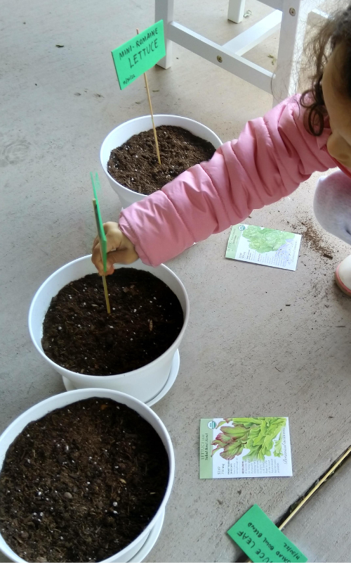 food play planting in pots